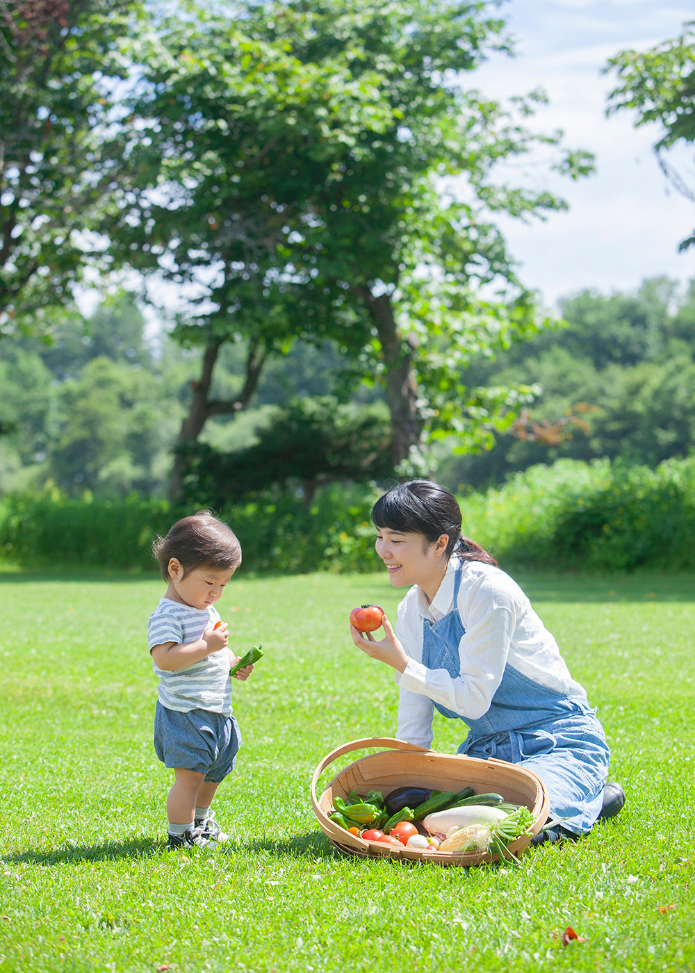 地域の豊かさをまもるイメージ写真